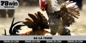 Đá Gà 78win Trực Tuyến Đỉnh Cao, Nơi Hội Tụ Cao Thủ