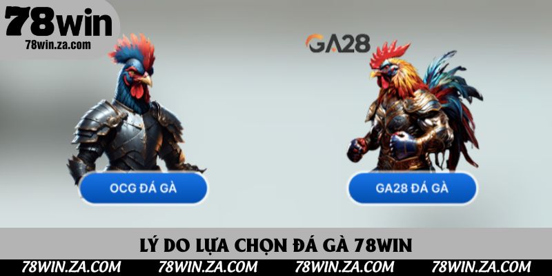 Lý do lựa chọn đá gà 78win