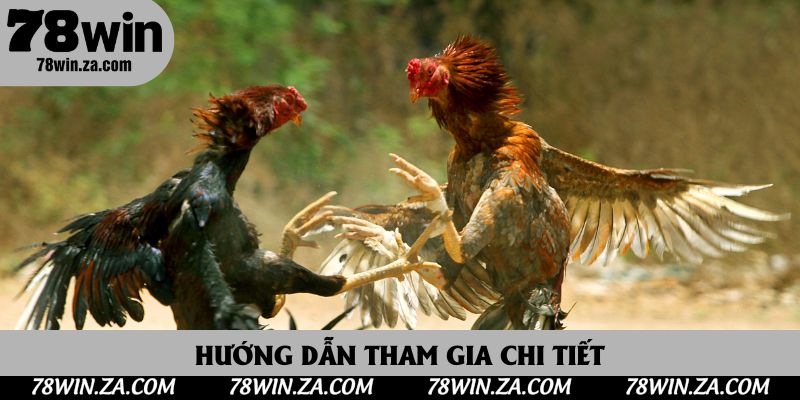 Hướng dẫn tham gia chi tiết